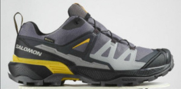 Salomon Schuhe X ULTRA 360 GTX Clrock/ GRAU