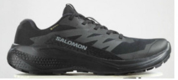 Salomon ALPHAGLIDE GTX SCHWARZ