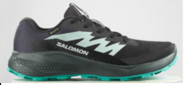 Salomon ALPHAGLIDE GTX W SCHWARZ/KOMBI